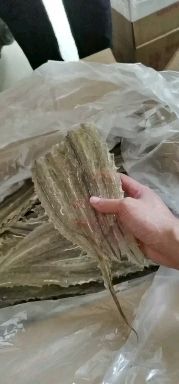 北海烧烤鳗鱼干  鳗鱼片  多味鱼  鱼干  小鱼干