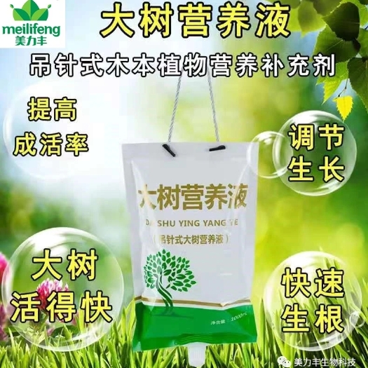 郑州螯合肥料  大树营养液 大树吊带 大树快速移植 大树快速存货 树木营养液