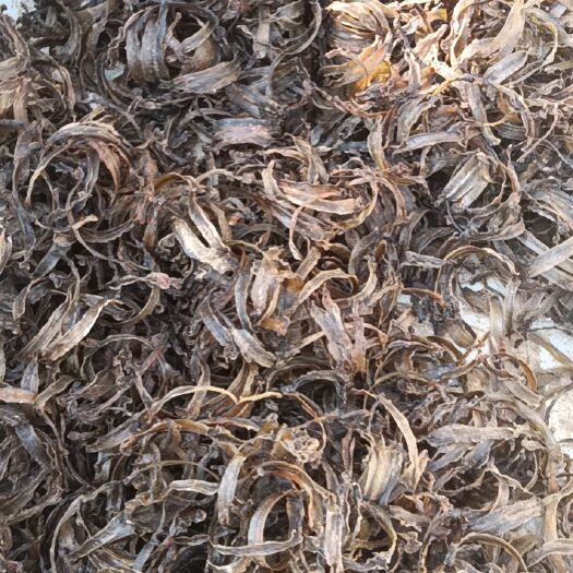 淮安土地龙 大量出售蚯蚓干