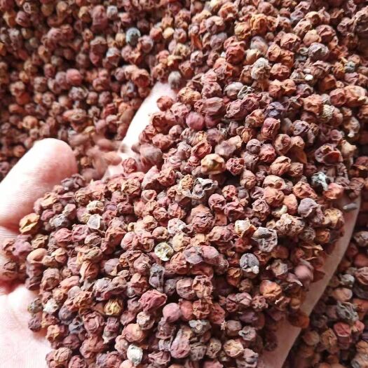 西安 大量出售，南五味子，北五味子