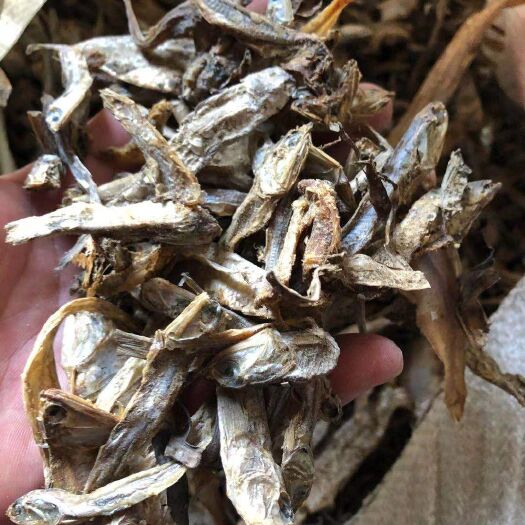 海兴县饲料鱼干