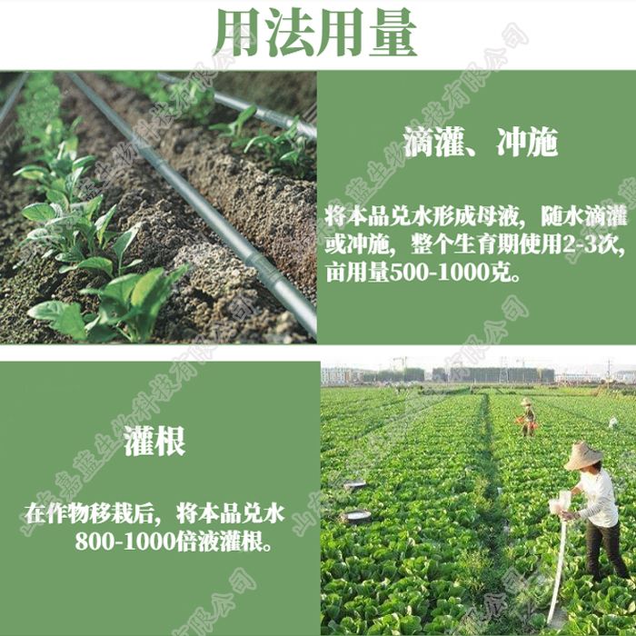 土壤微生物菌剂  枯草地衣芽孢杆菌复合微生物菌剂 抗病促长