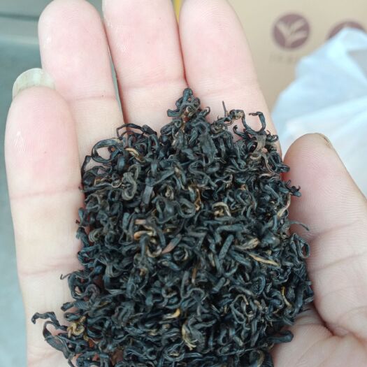 黟县祁红香螺 祁红，红茶，红毛峰，红香螺