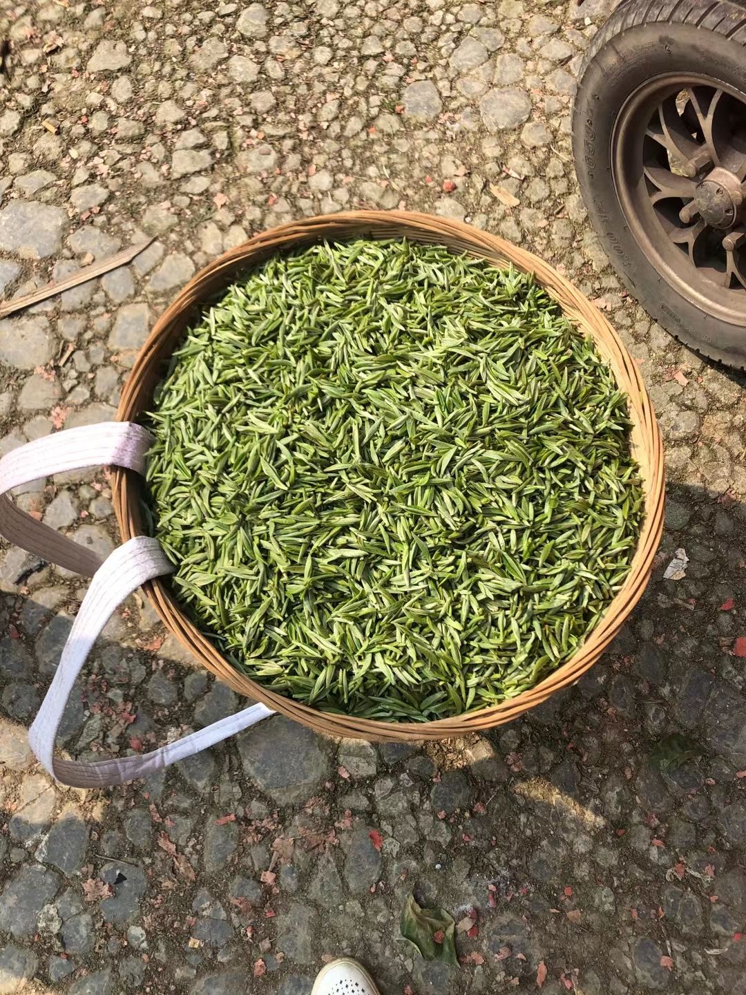 碧螺春  玖和百年茶庄