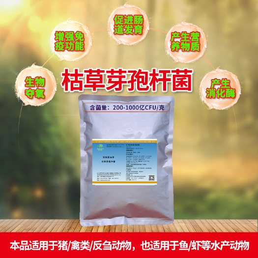 长沙枯草芽孢杆菌/种植用枯草芽孢杆菌/芽孢杆菌