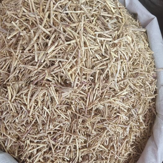 无硫磺白茅根.茅草量大从优白茅草