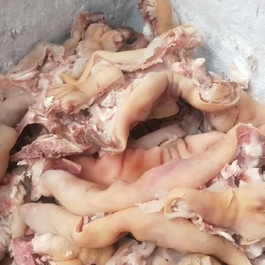 博爱县牛蹄筋， 焦作清真全熟去骨牛蹄，质量有保障，常年稳定有货