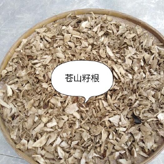 三明山胡椒 木姜子  苍山籽根