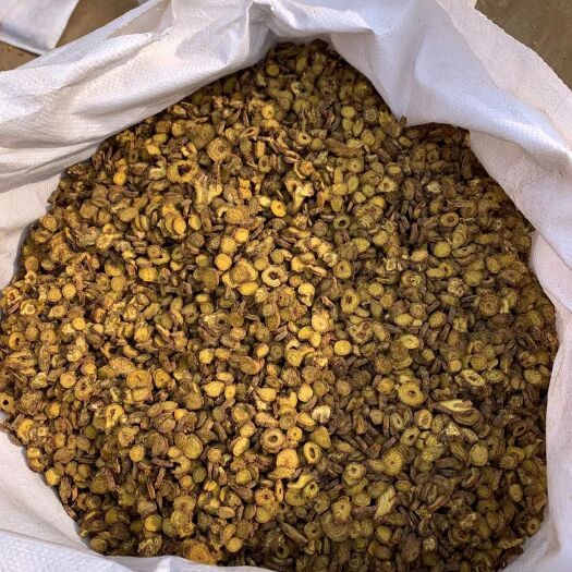 澄城县 切片黄芩