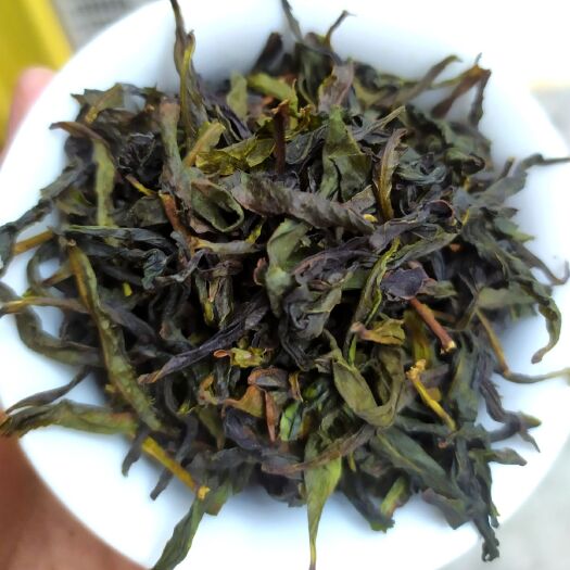 惠来县单丛茶 高山茶惠来土山茶潮汕高山茶黄旦茶叶新茶叶福建黄旦茶1
