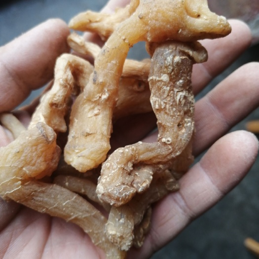 西安甜黄精 块 