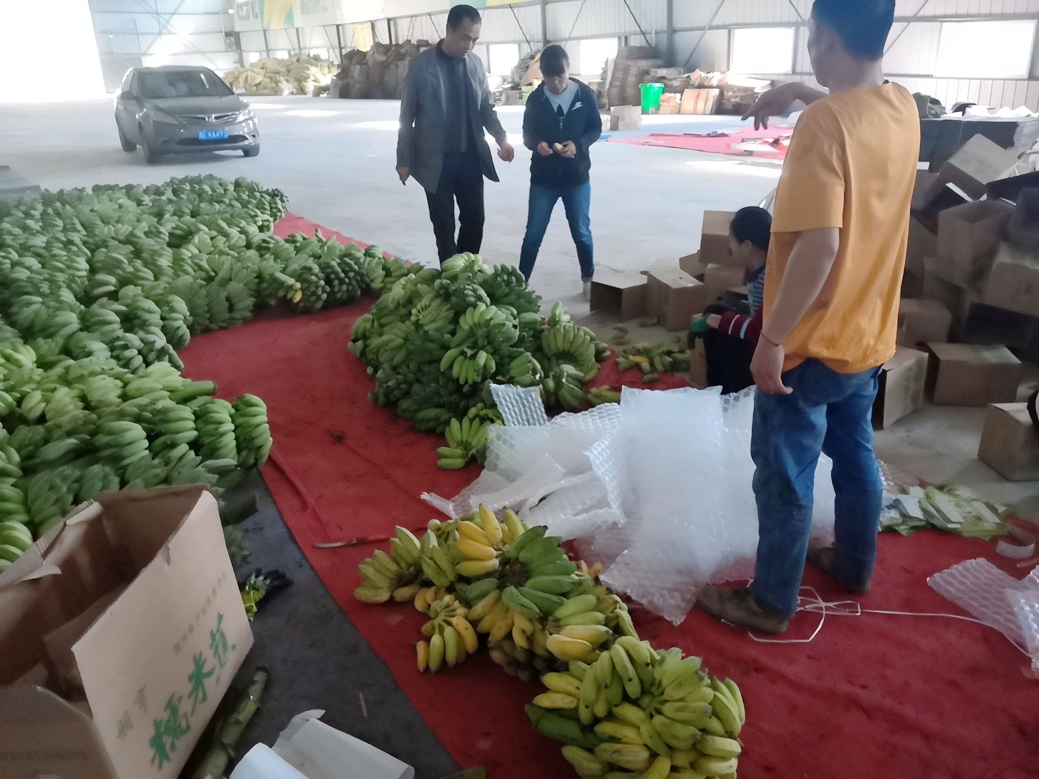 香蕉  贵州册亨糯米蕉
常年供货
支持一件代发
提供运输服务