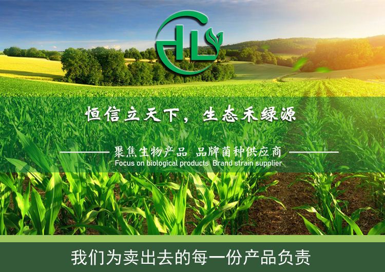 禾绿源EM菌液种植专用微生物菌剂农用生物菌肥改良土壤EM原露
