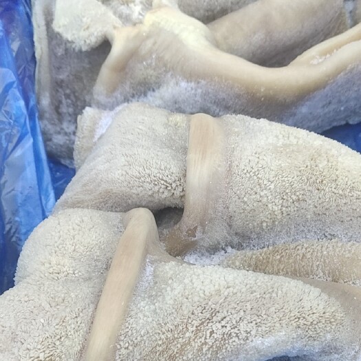 牛肚，全熟牛肚質(zhì)量穩(wěn)定。歡迎咨詢來電