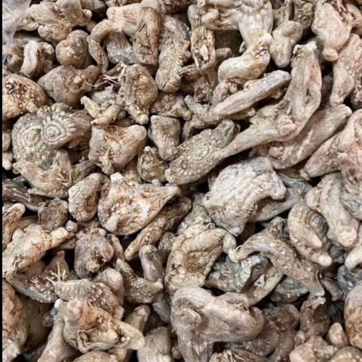 会泽县白及 白芨干货