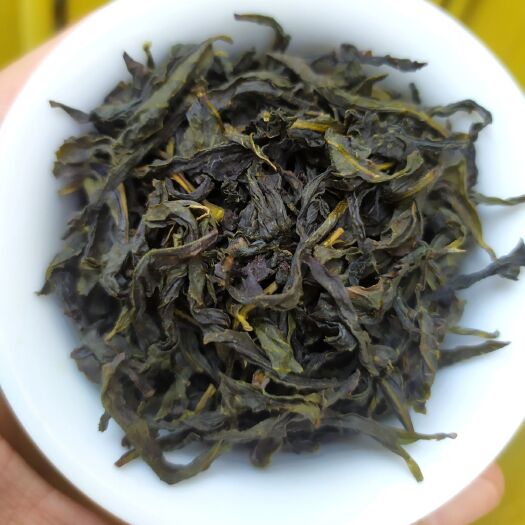 惠来县单丛茶 高山茶惠来土山茶潮汕工夫茶新茶金观音茶心大坪土山茶叶