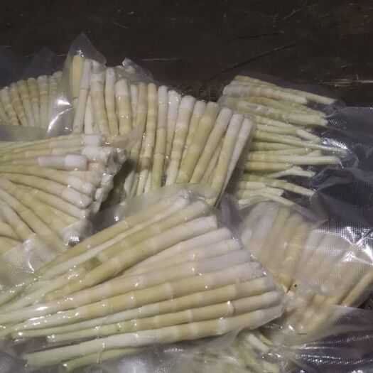 越西县小竹笋 需要竹笋吗？
