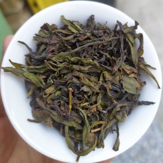 惠来县单丛茶 高山茶潮汕土山茶惠来黄旦茶高山茶福建1斤潮汕乌龙茶