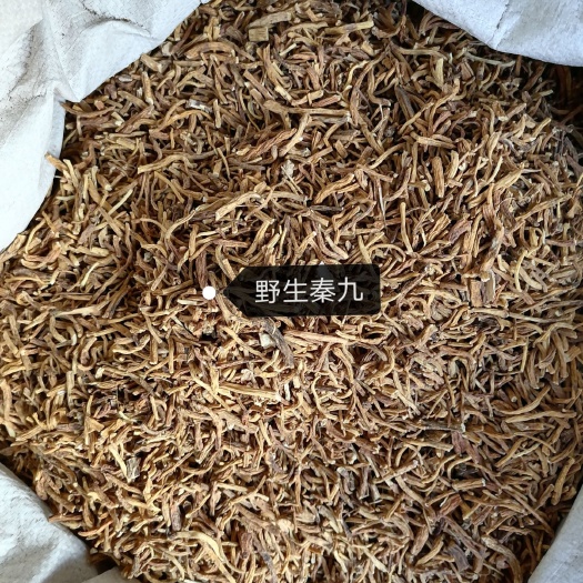安国市秦九秦艽云南中药材家种各种规格齐全