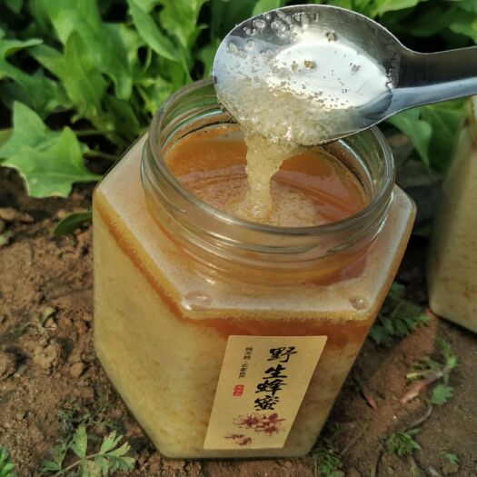 临城县蜂蜜纯正天然农家自产结晶蜜野花蜜原蜜百花蜜土蜂蜜纯正蜂蜜
