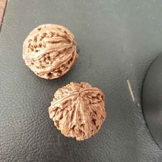 柳河县 出售山核桃