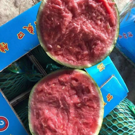 夏邑县美都西瓜  夏邑美都8424，麒麟瓜大量供货包质包量