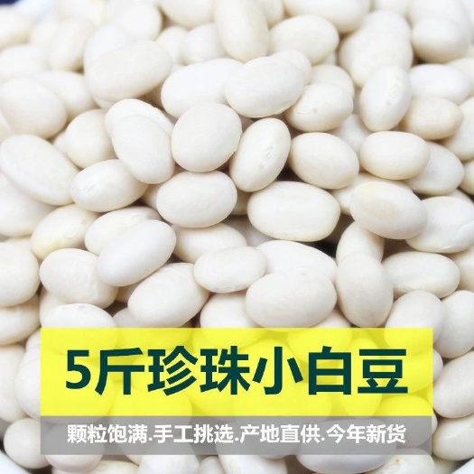 珍珠豆 新货农家自种小芸豆小白豆炖菜煲汤打豆浆豆类杂