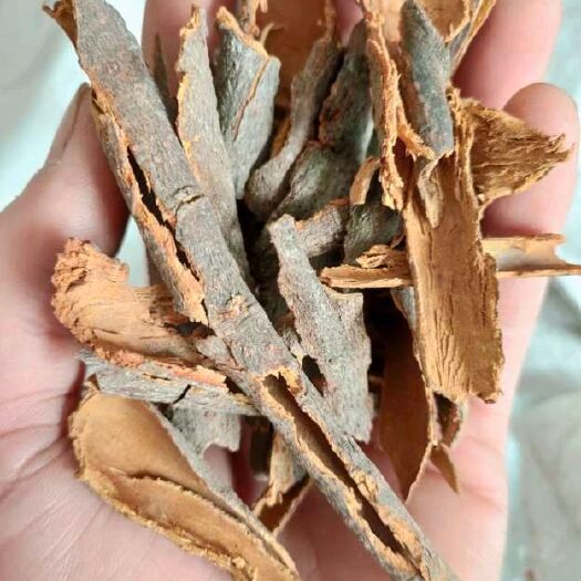罗定市桂皮 散皮桂碎