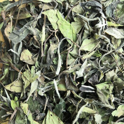 福鼎市白牡丹茶 福鼎白茶，2019春牡丹