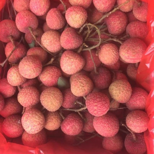 玉林桂味荔枝 荔枝桂味，荔枝中的贵族