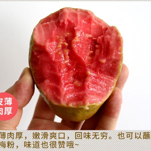 阳春市新鲜红心番石榴现摘现发