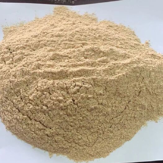 石家庄全粉 次粉，小麦次粉