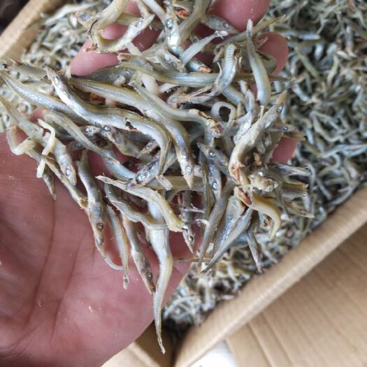 日照小青鱼干，银针鱼