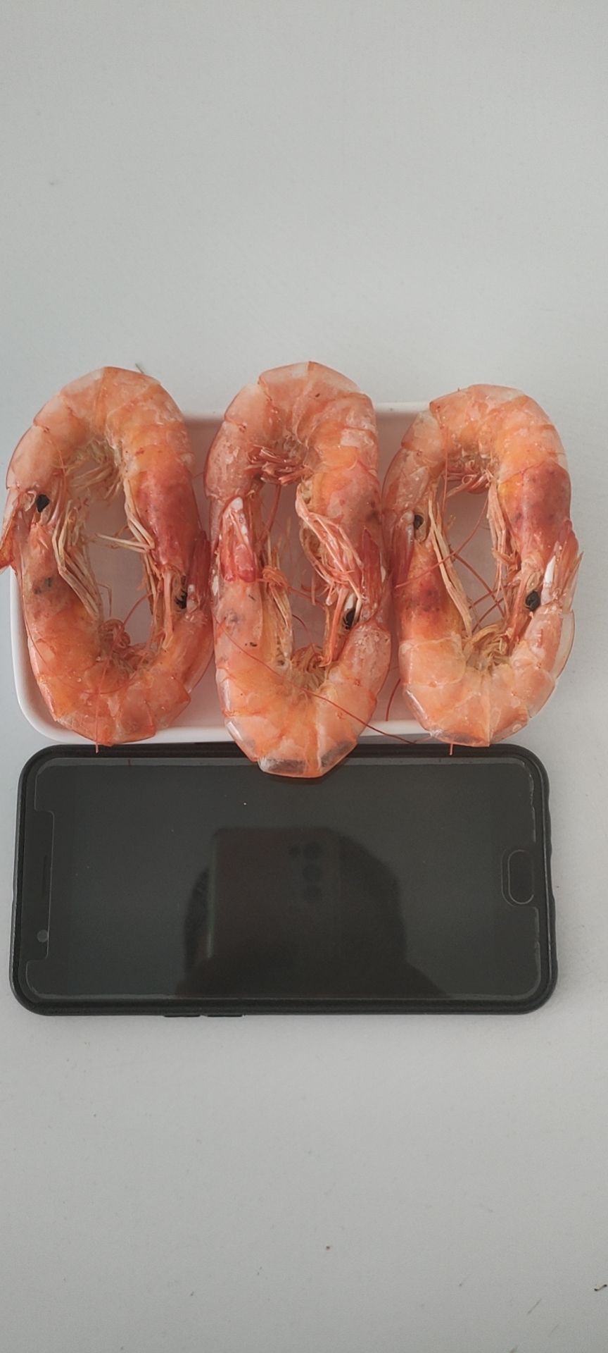 对虾  精品烤虾（自加工）