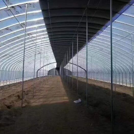 沭阳县种植大棚  专业生产种植和养殖大棚