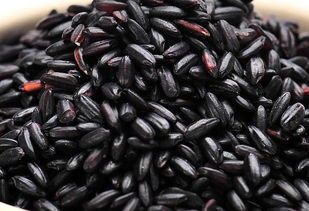 黑香软糯水旱两用稻   营养丰富、糯性好、产量高的保健型黑色水旱两用稻——黑香软糯