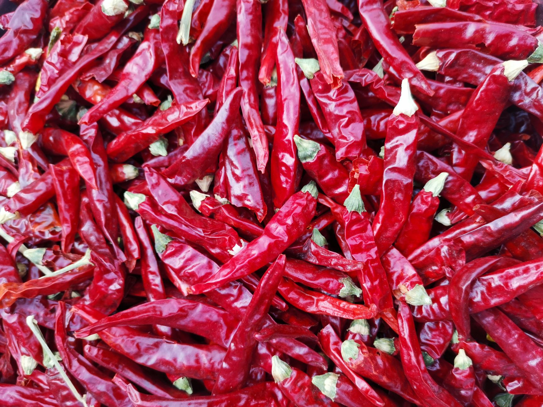 朝天椒干辣椒  烘干高辣厂家直供，三英椒长期有货，保证质量