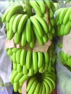 屏边县香蕉 云南省红河哈尼族彝族自治州屏边苗族自治县 一级 