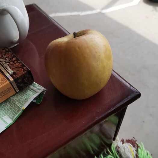 辛集市红富士苹果 苹果出售！