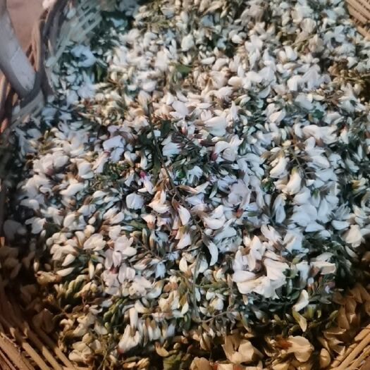 新密市 农家新鲜槐花刚刚出来，量大优惠 陈