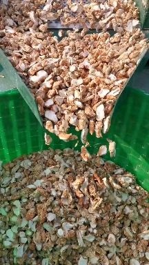 钦州山柰  广西沙姜片，够靓，味道浓郁，香料 配料，够大，够厚的片型