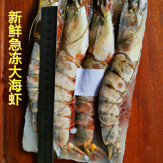 每盒净重1斤4条大鬼虾老虎虾草虾新鲜急冻九节虾一箱10盒