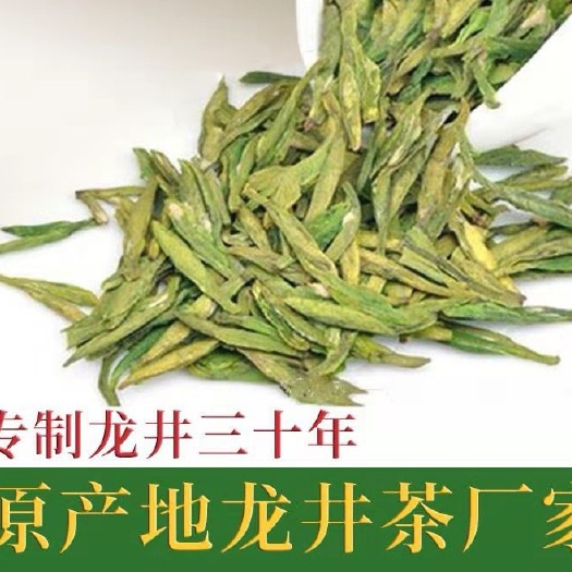 厂家批发2021新茶雨前龙井茶 绿茶 越乡龙井大佛散装