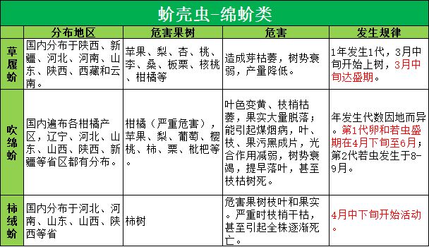 农药杀虫剂荣邦18%吡虫噻嗪酮1000克柑橘树蚧壳虫