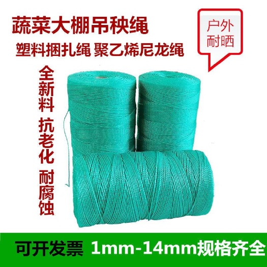 庆云县 吊秧绳大棚黄瓜西红柿蔬菜吊蔓绳爬藤网拉绳拉枝绳塑料耐磨尼龙绳