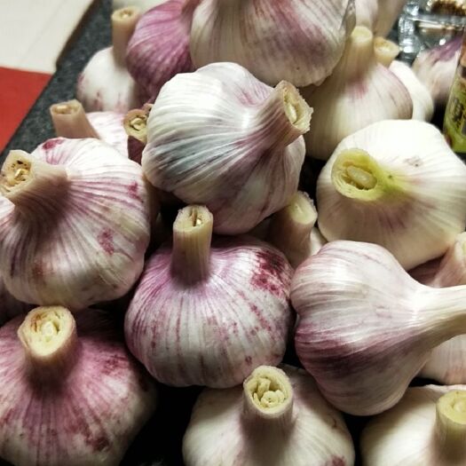 杞县红皮蒜 杞县大蒜