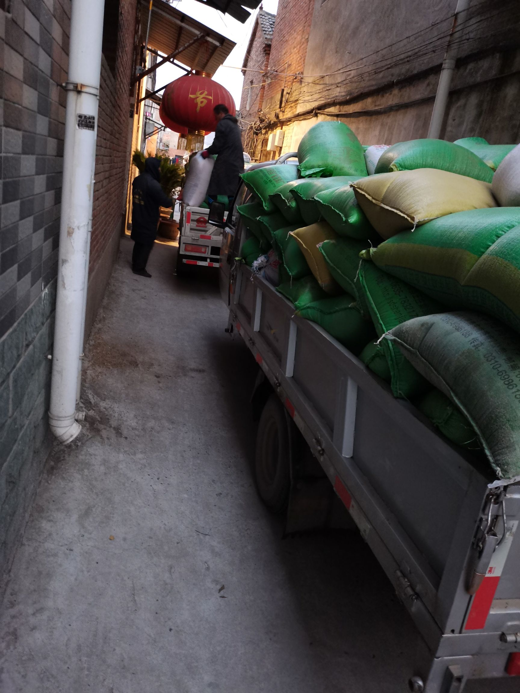 火麻籽 火麻仁火麻子当季新货各种规格大货批发零售质量保证