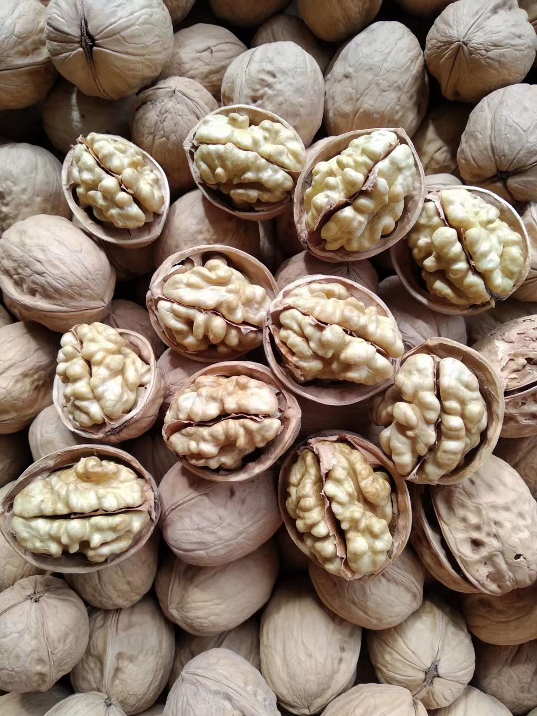 新疆手剥纸皮核桃