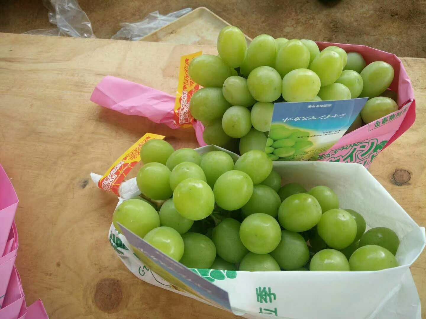 阳光玫瑰3斤5斤包邮电商供应代发香印青提包邮串装全年一件代发