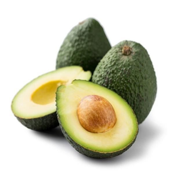 牛油果苗，哈斯牛油果果苗带杯发货